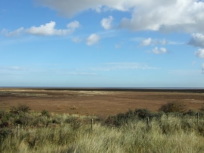 narodowy rezerwat przyrody saltfleetby theddlethorpe dunes