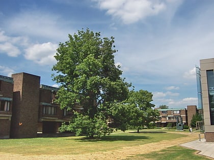 churchill college cambridge