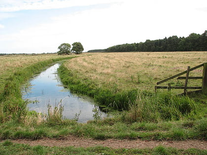 Damgate Marshes