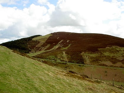 Foel Fenlli