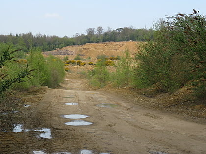 Bognor Common Quarry