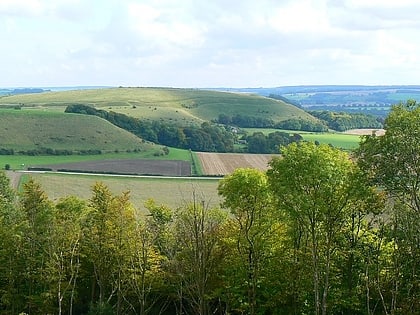 scratchbury camp