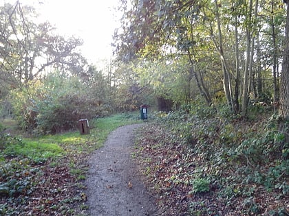 watling chase timberland trail shenley