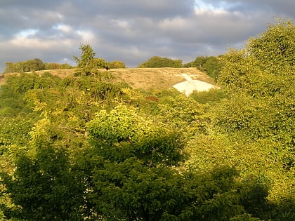 whiteleaf cross