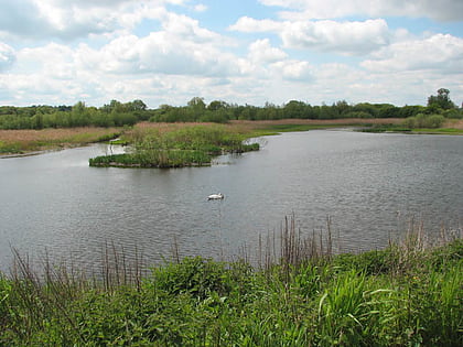 yare broads and marshes brundall