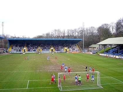 The Shay