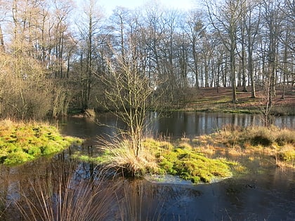 sole common pond park wodny cotswold