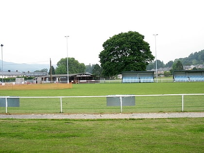 Maes Tegid