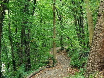 belvoir park forest belfast
