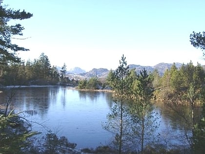 gwydir forest betws y coed