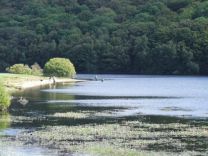 Backstone Bank and Baal Hill Woods