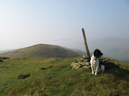 Moel y Gydros