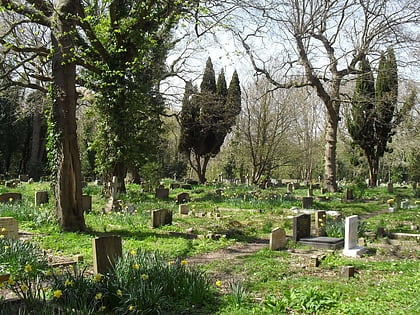 Church Wood and Robsack Wood