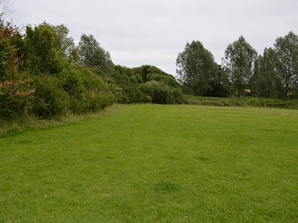 Brockwell Meadows