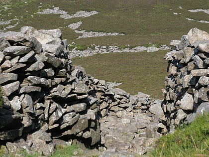 trer ceiri