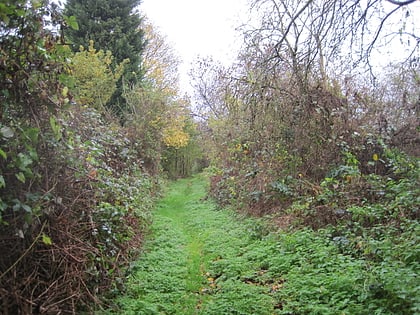 mill hill old railway nature reserve london
