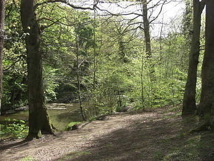 Plessey Woods Country Park