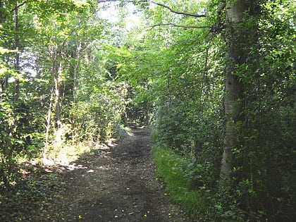 Pound Wood