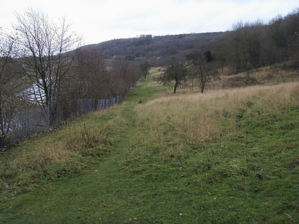 Oakley Hill nature reserve