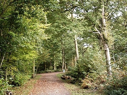 hockley woods southend on sea