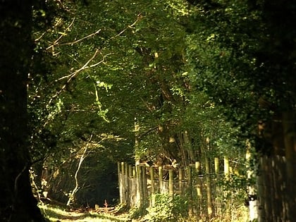 dartmoor way park narodowy dartmoor