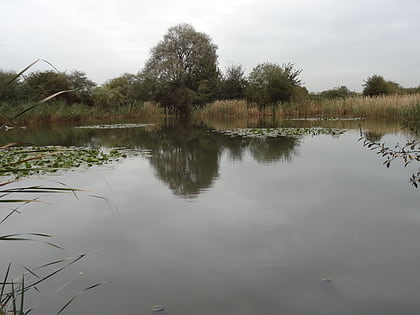 the chase nature reserve south ockendon