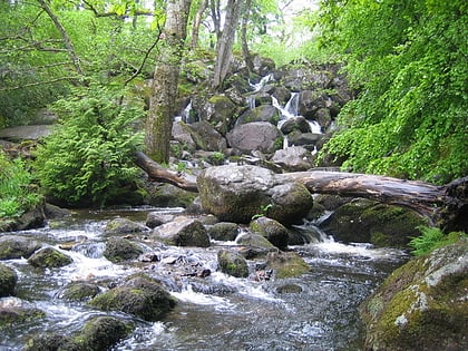 becky falls park narodowy dartmoor