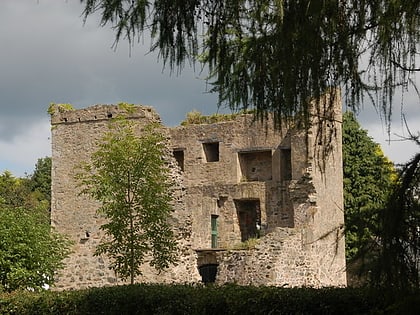 Quoile Castle