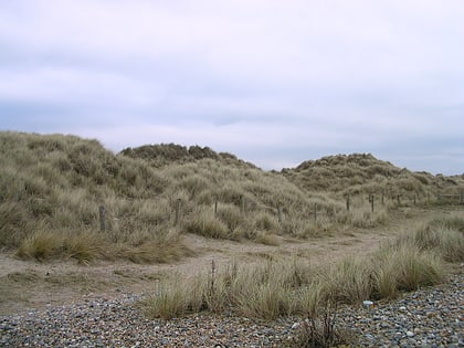climping sand dunes littlehampton