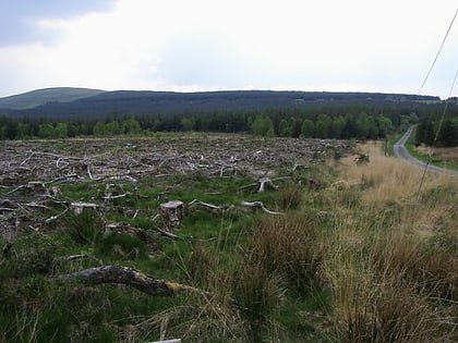 glasfynydd forest brecon beacons nationalpark