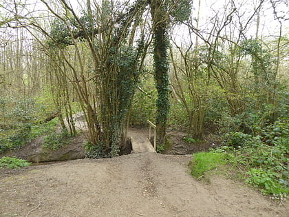 blunts wood and paiges meadow haywards heath