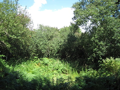 glebelands local nature reserve london