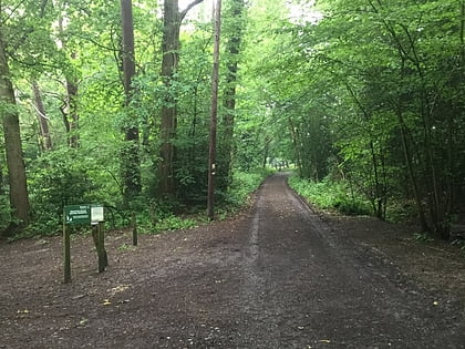 selwyns wood high weald area of outstanding natural beauty