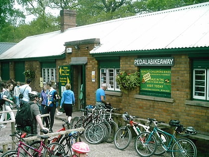forest of dean cycle centre nagshead