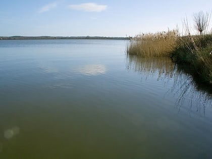 arlington reservoir