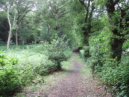Littleheath Woods