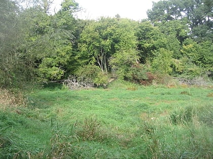 popley ponds basingstoke