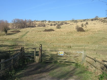 the roughs kent downs