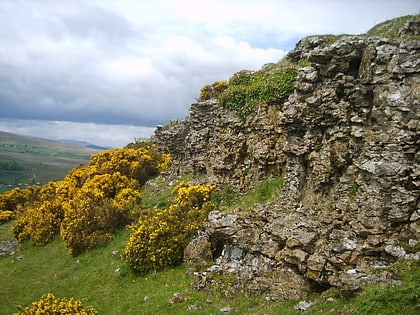 knipescar common