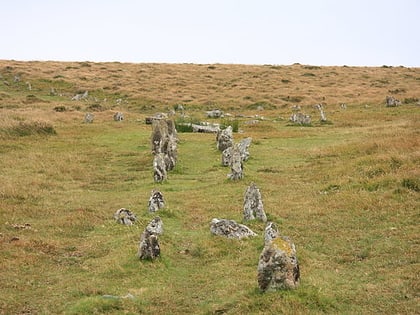 shovel down dartmoor national park