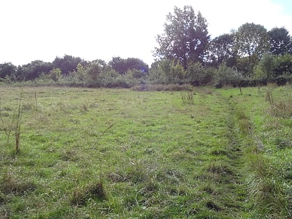 Linder's Field