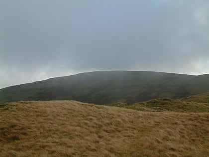 grayrigg forest sedbergh