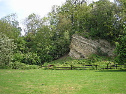 Dryhill Nature Reserve