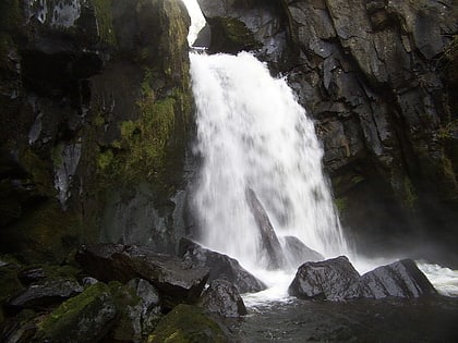 Cauldron Linn