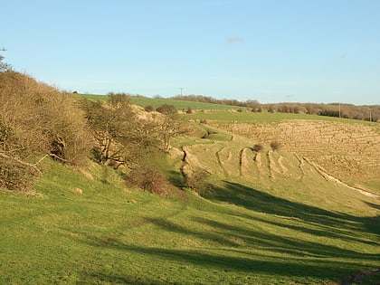 farthing common