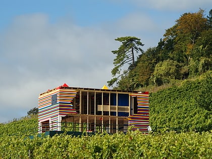 Denbies Wine Estate