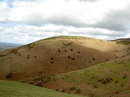 moel y gaer