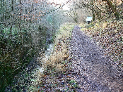 siccaridge wood park wodny cotswold