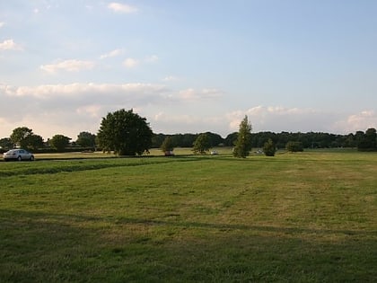 Galleywood Common