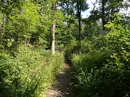 little haven nature reserve rayleigh